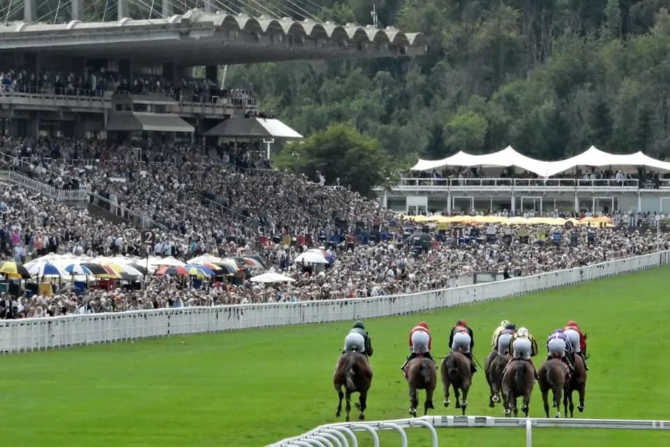 Goodwood Festival